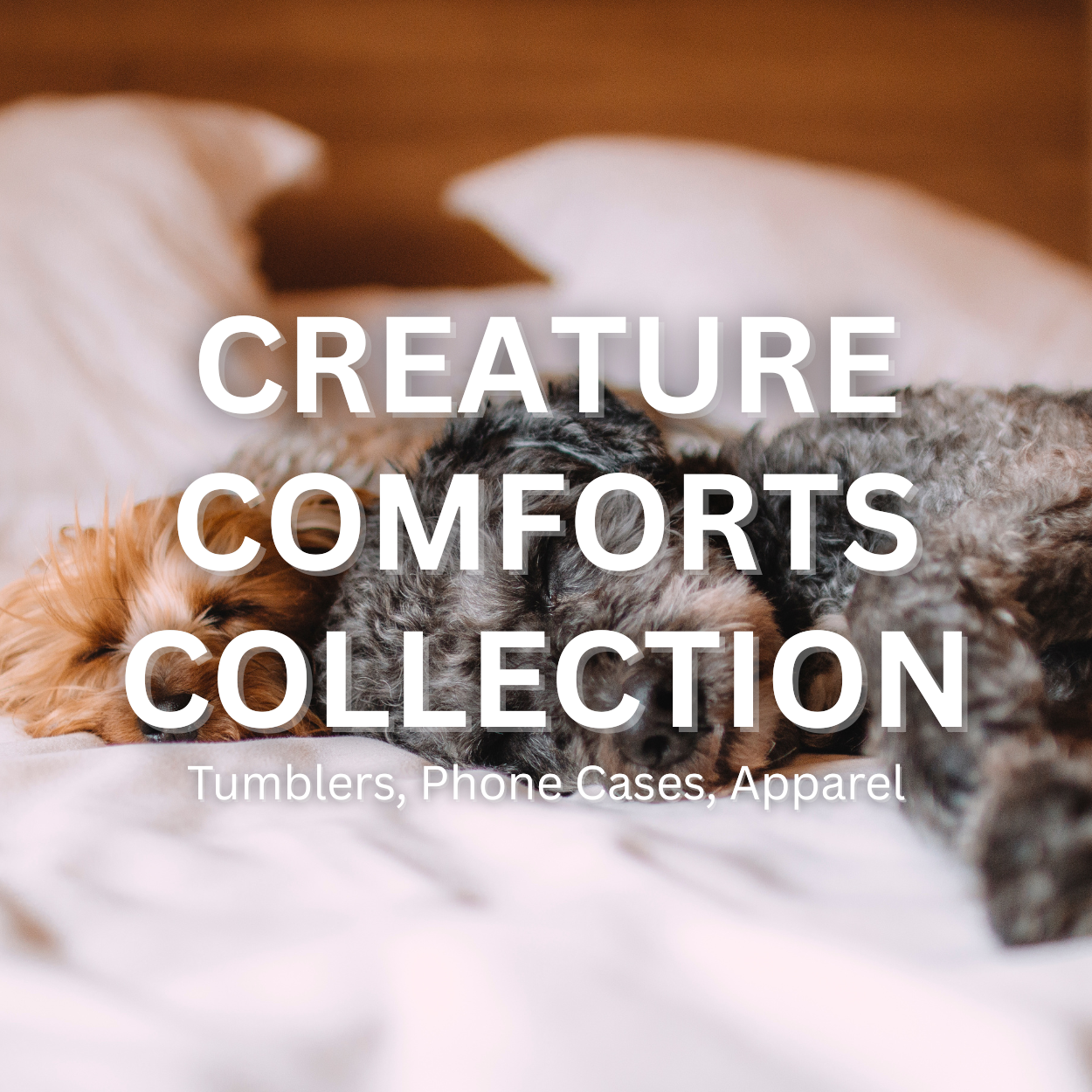 Creature Comforts Collection